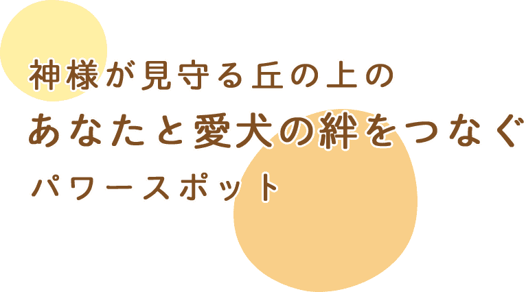 あなたと愛犬の絆をつなぐパワースポット